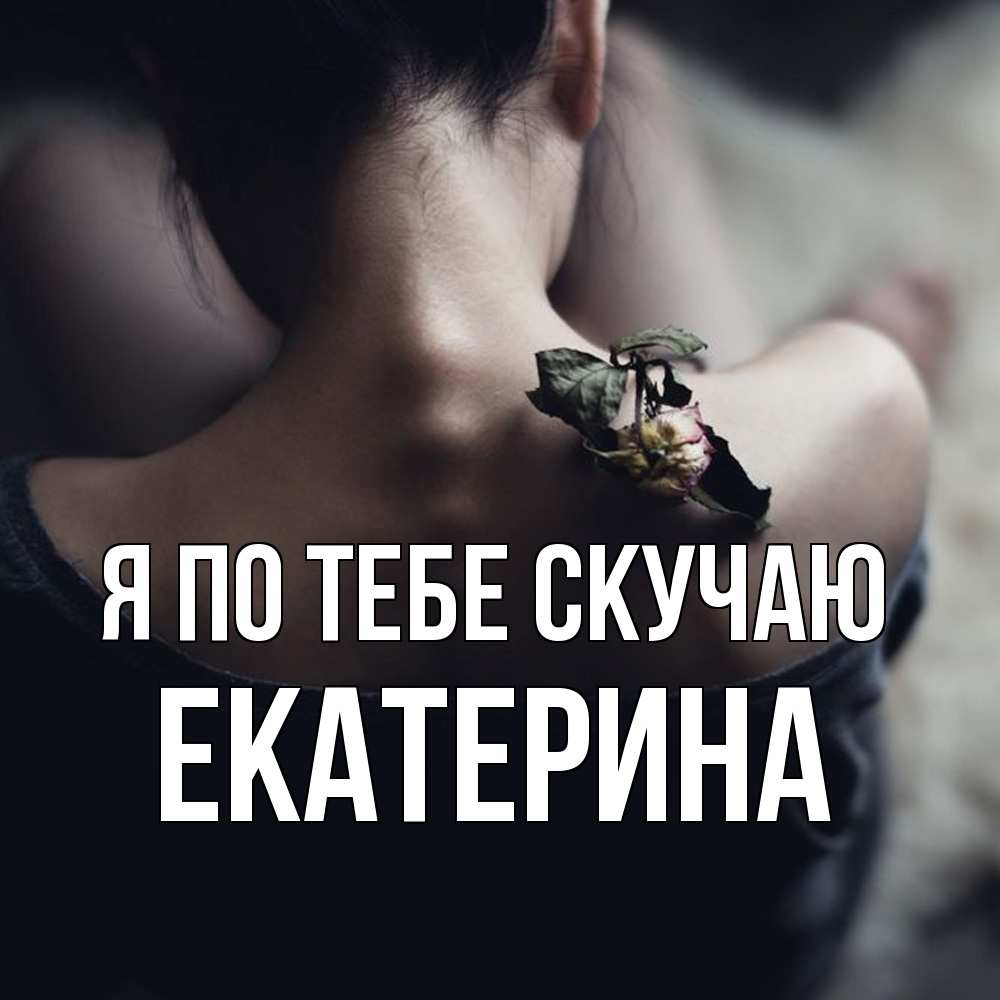 Открытка на каждый день с именем, Екатерина Я по тебе скучаю засох цветок Прикольная открытка с пожеланием онлайн скачать бесплатно 