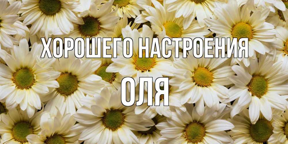 Открытка на каждый день с именем, Оля Хорошего настроения крупные ромашки Прикольная открытка с пожеланием онлайн скачать бесплатно 
