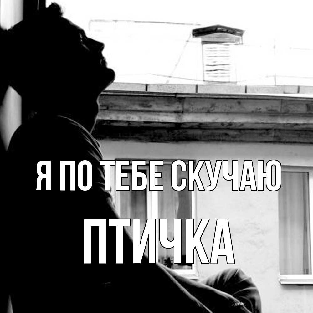 Открытка на каждый день с именем, Птичка Я по тебе скучаю скучно ему Прикольная открытка с пожеланием онлайн скачать бесплатно 