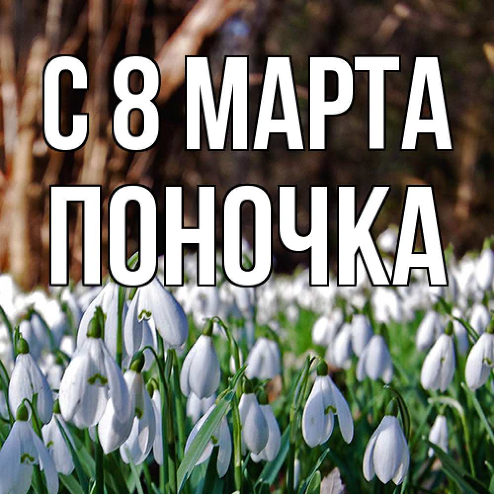 Открытка на каждый день с именем, поночка C 8 МАРТА с подснежниками 1 Прикольная открытка с пожеланием онлайн скачать бесплатно 