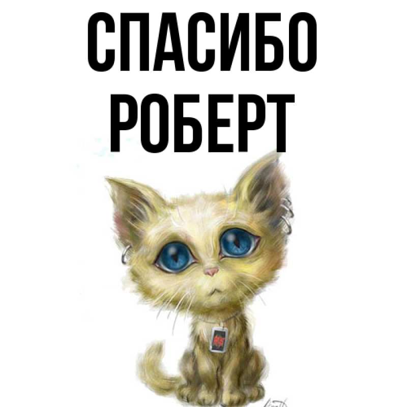 Картинка Спасибо, Роберт