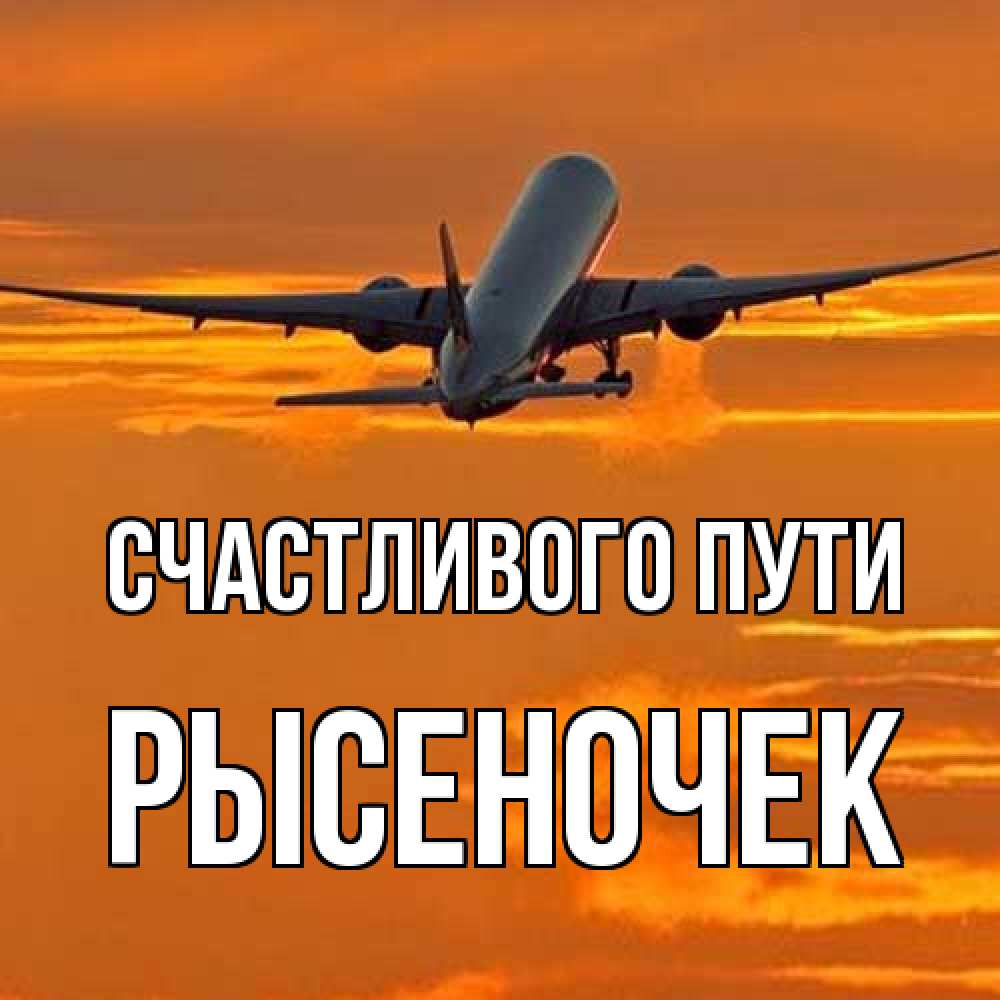 Открытка на каждый день с именем, Рысеночек Счастливого пути оранжевое небо Прикольная открытка с пожеланием онлайн скачать бесплатно 