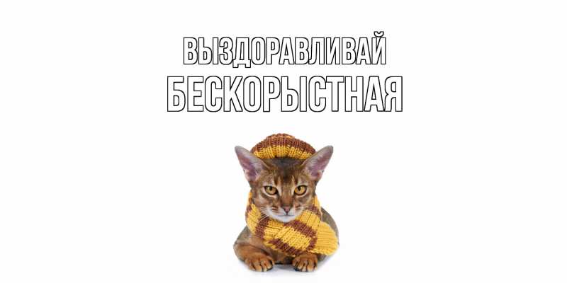 Картинка Выздоравливай, Бескорыстная