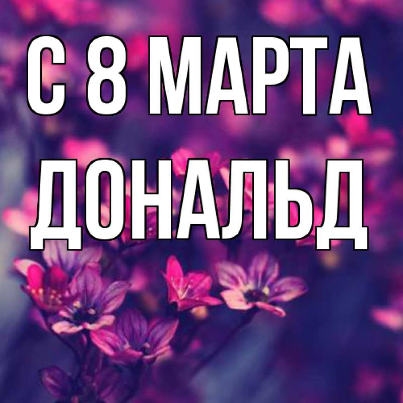 Картинка C 8 МАРТА, Дональд