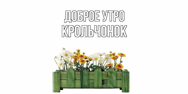 Картинка Доброе утро, Крольчонок