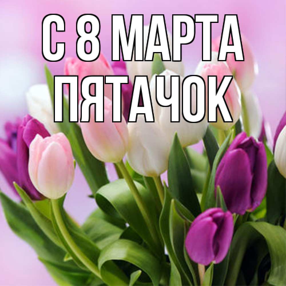Открытка на каждый день с именем, Пятачок C 8 МАРТА весна март Прикольная открытка с пожеланием онлайн скачать бесплатно 