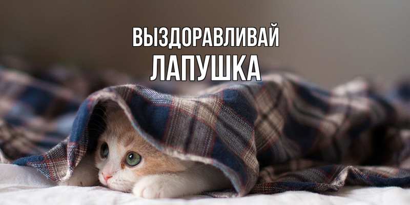 Картинка Выздоравливай, лапушка