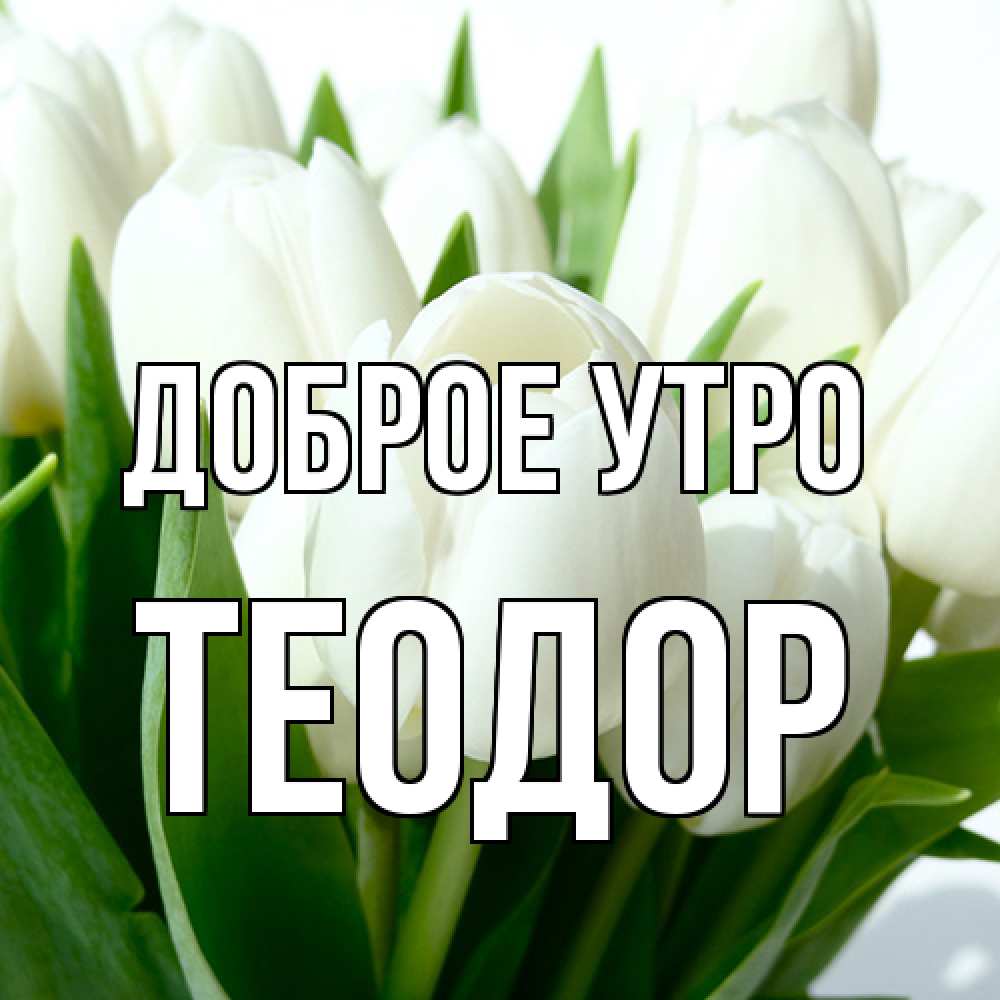 Открытка на каждый день с именем, Теодор Доброе утро открытки на каждый день по именам Прикольная открытка с пожеланием онлайн скачать бесплатно 