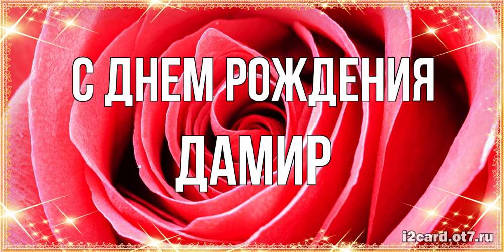 Открытка на каждый день с именем, Дамир С днем рождения розовая роза очень крупный бутон Прикольная открытка с пожеланием онлайн скачать бесплатно 