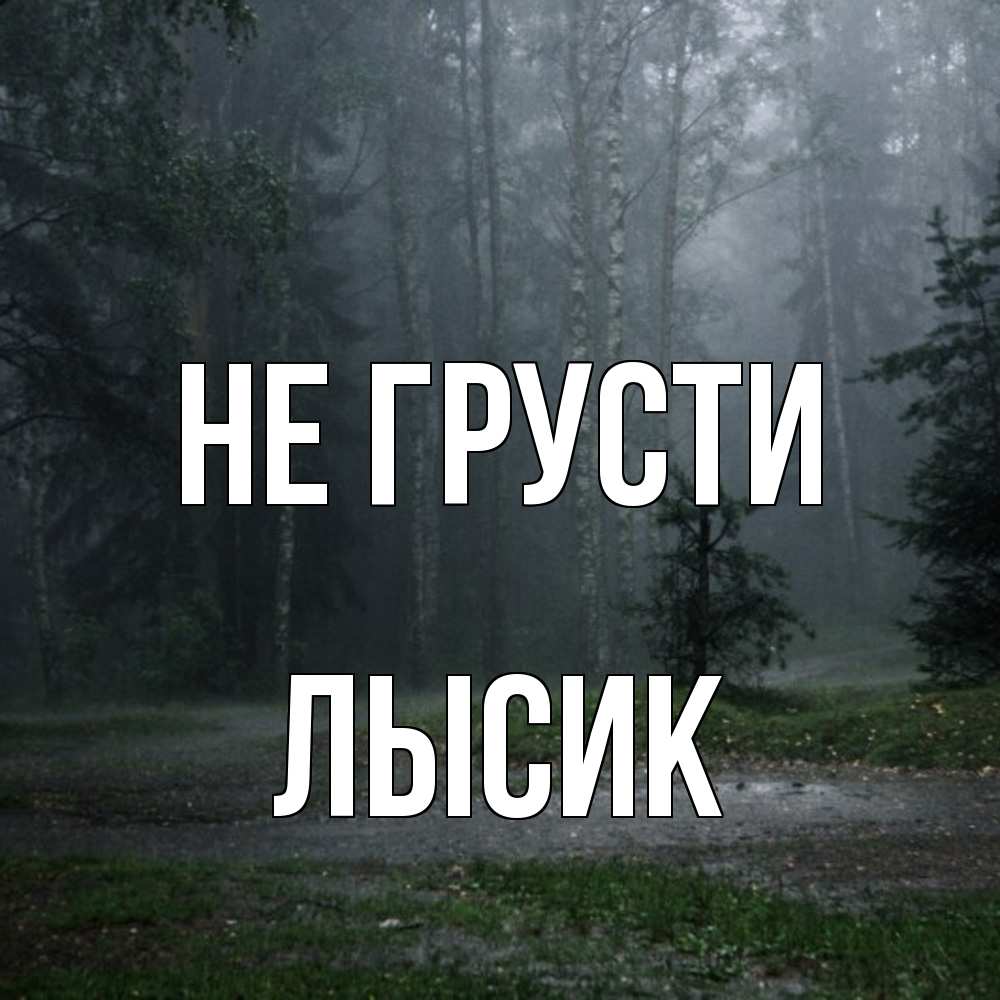 Открытка на каждый день с именем, Лысик Не грусти осень Прикольная открытка с пожеланием онлайн скачать бесплатно 