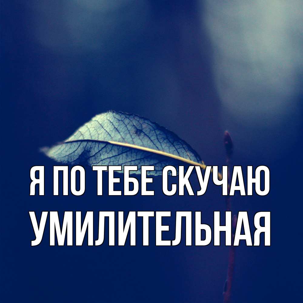 Открытка на каждый день с именем, умилительная Я по тебе скучаю одна ветка 1 Прикольная открытка с пожеланием онлайн скачать бесплатно 