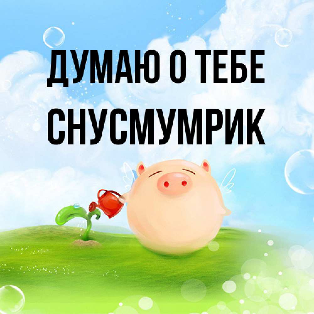 Открытка на каждый день с именем, Снусмумрик Думаю о тебе позитивная свинюшка Прикольная открытка с пожеланием онлайн скачать бесплатно 