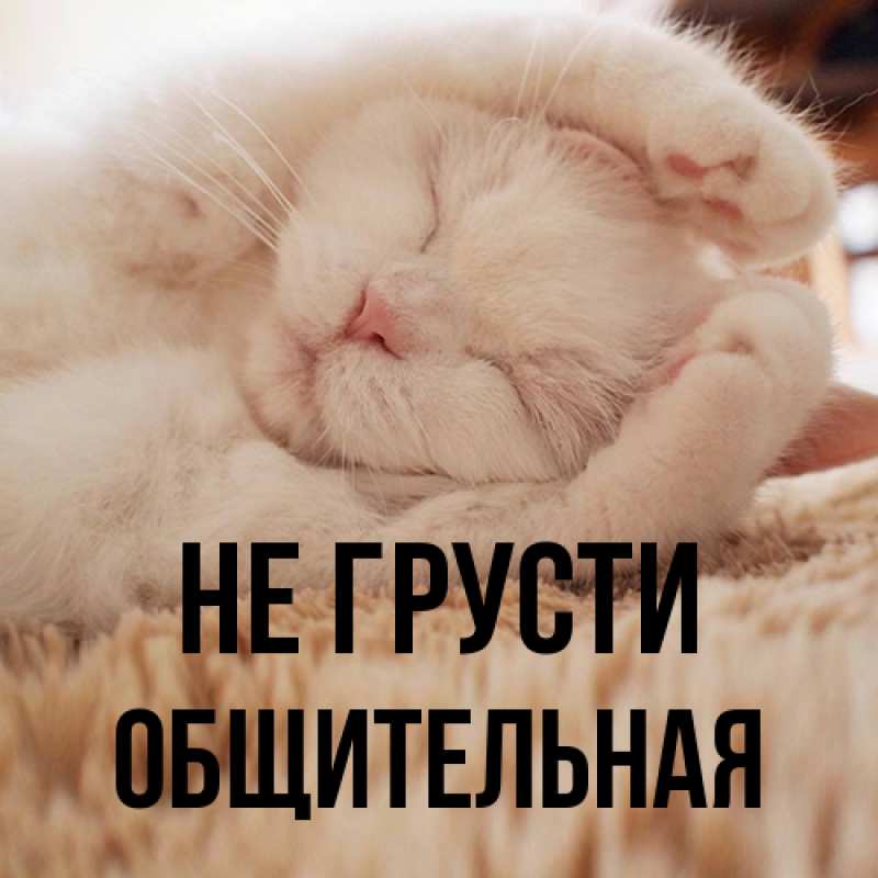 Картинка Не грусти, Общительная