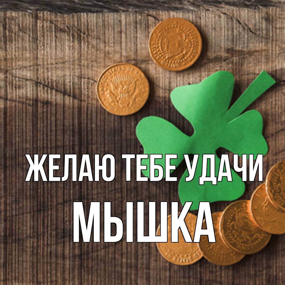 Открытка на каждый день с именем, Мышка Желаю тебе удачи на удачу сегодня Прикольная открытка с пожеланием онлайн скачать бесплатно 