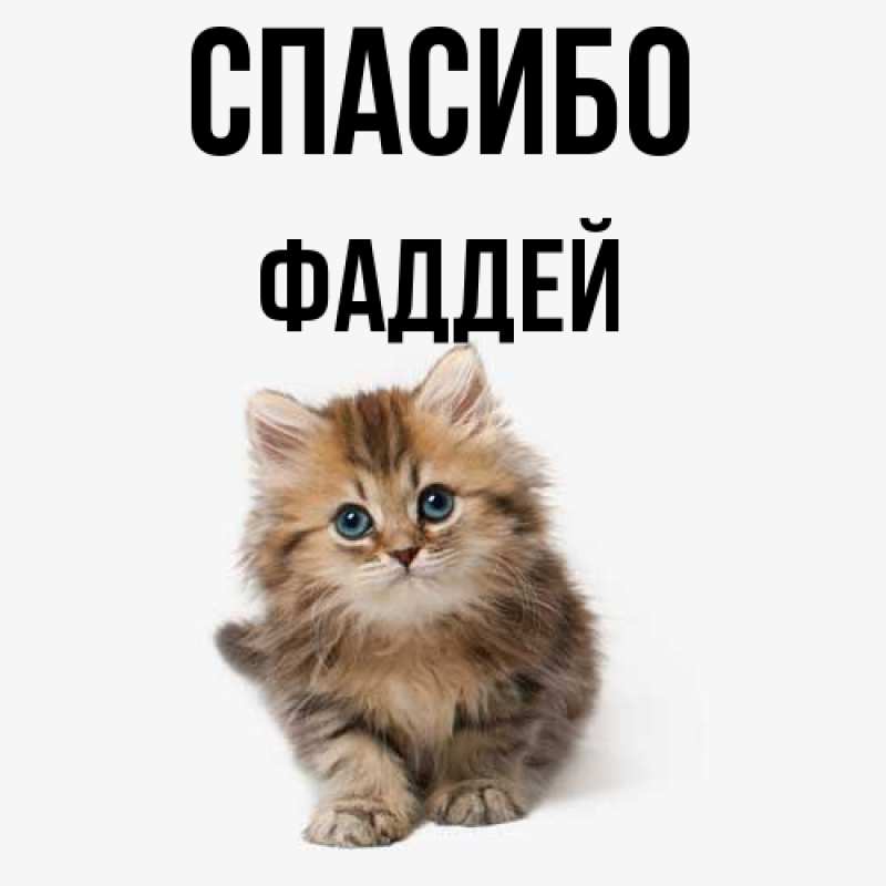 Картинка Спасибо, Фаддей