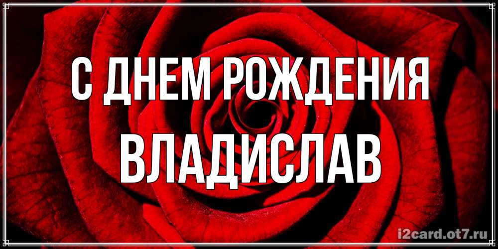 Открытка на каждый день с именем, Владислав С днем рождения алая роза Прикольная открытка с пожеланием онлайн скачать бесплатно 