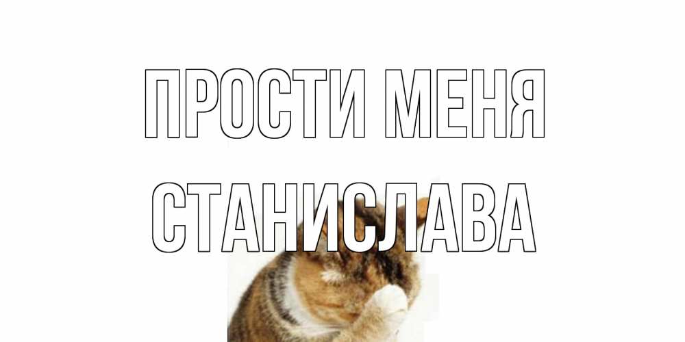Открытка на каждый день с именем, Станислава Прости меня кот Прикольная открытка с пожеланием онлайн скачать бесплатно 