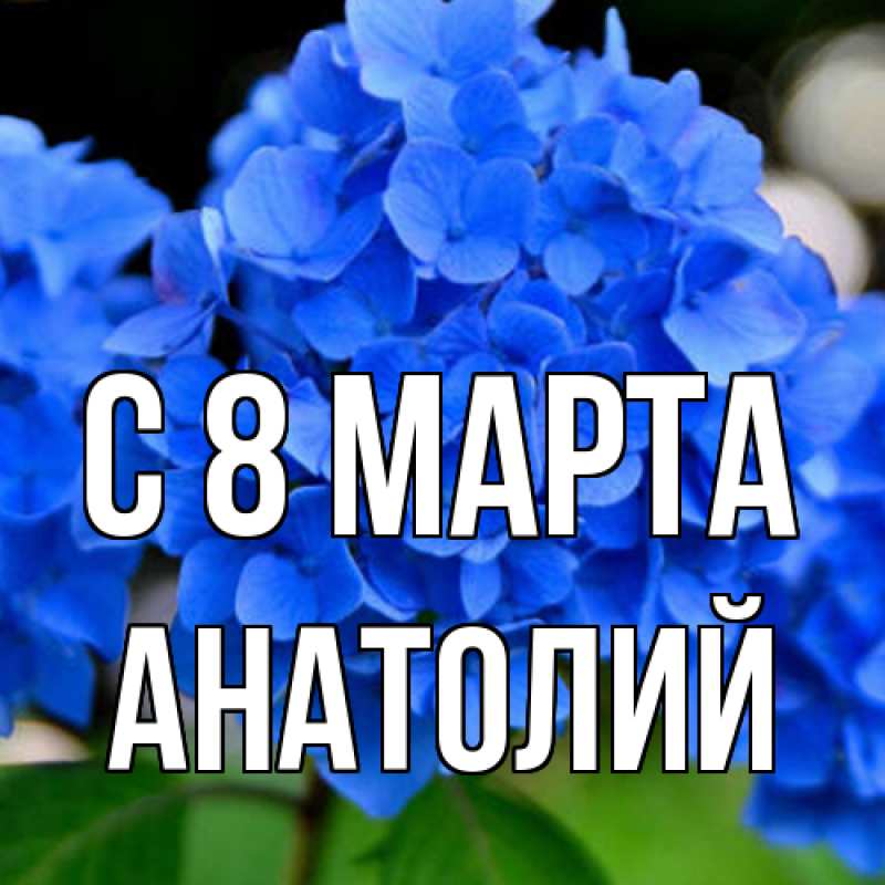 Картинка C 8 МАРТА, Анатолий