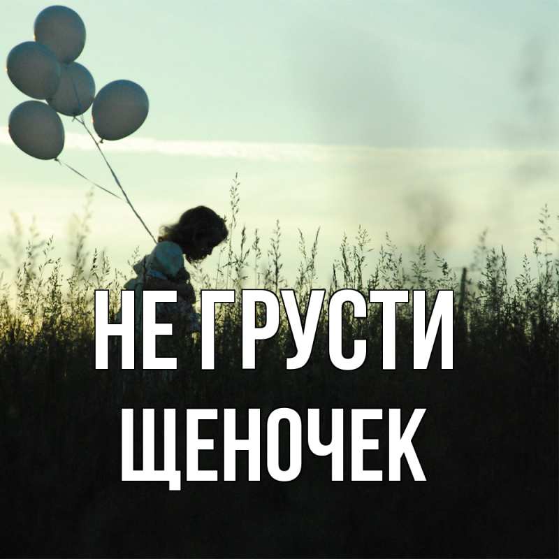 Картинка Не грусти, Щеночек