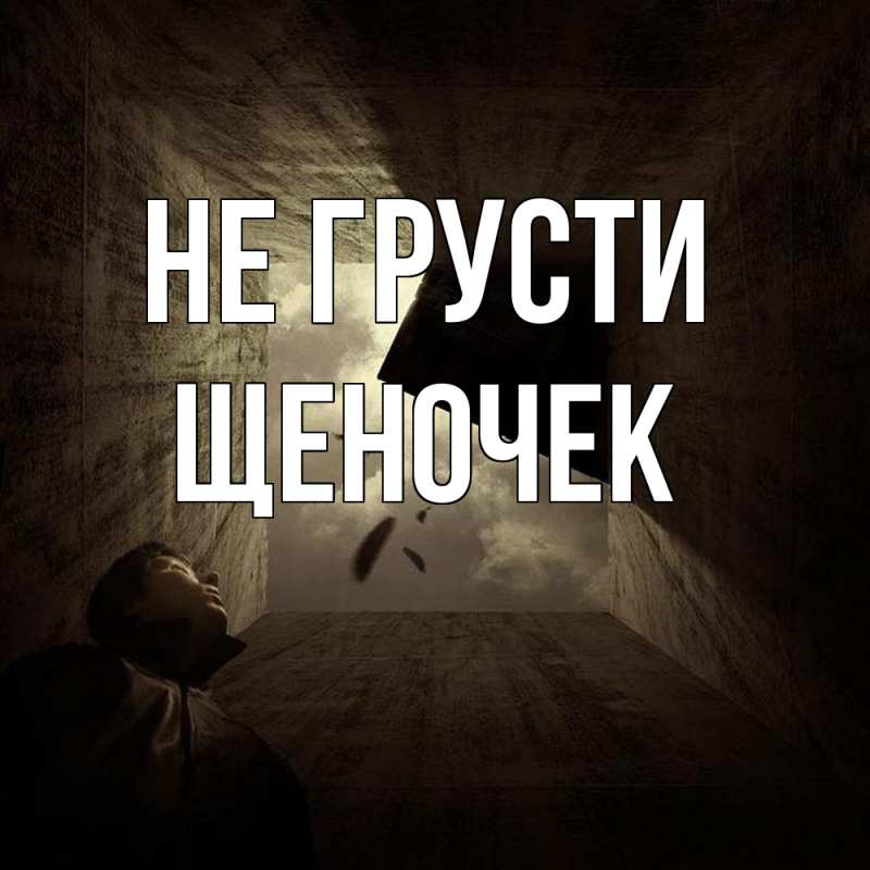 Картинка Не грусти, Щеночек