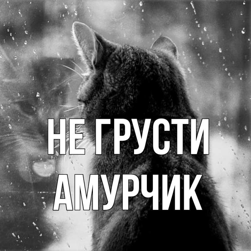 Картинка Не грусти, амурчик