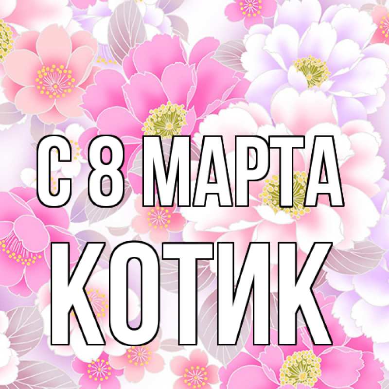 Картинка C 8 МАРТА, Котик