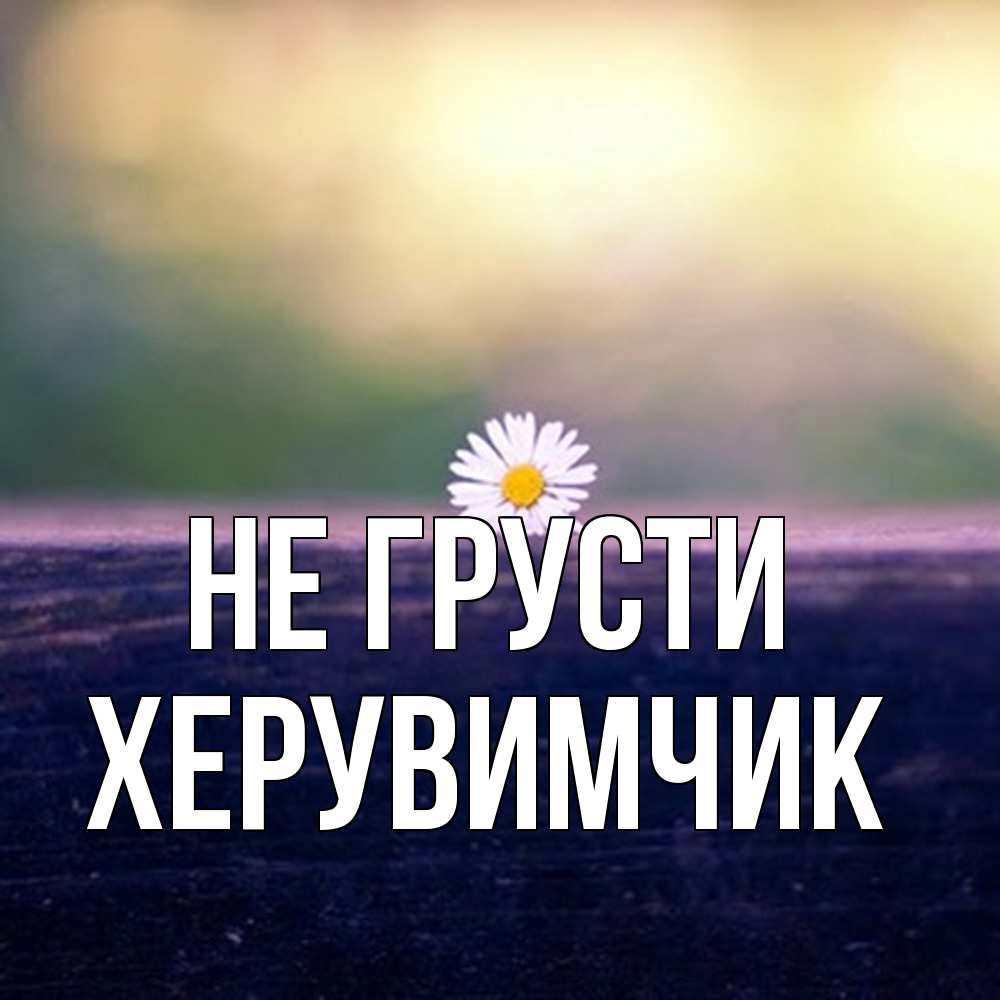 Открытка на каждый день с именем, Хеpувимчик Не грусти красота Прикольная открытка с пожеланием онлайн скачать бесплатно 