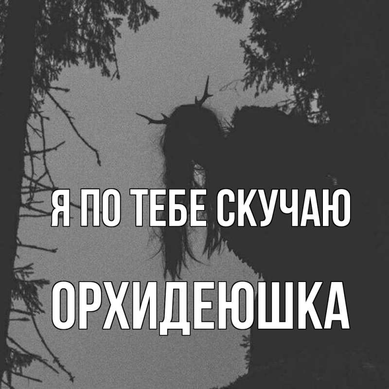 Картинка Я по тебе скучаю, Орхидеюшка