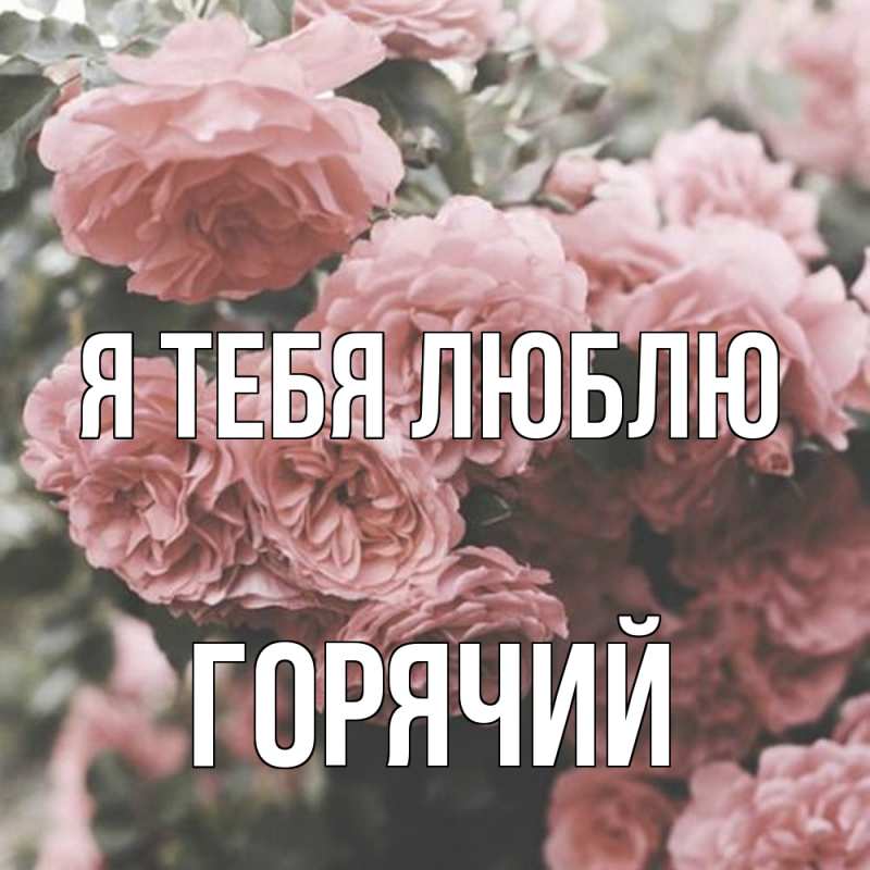 Картинка Я тебя люблю, Горячий