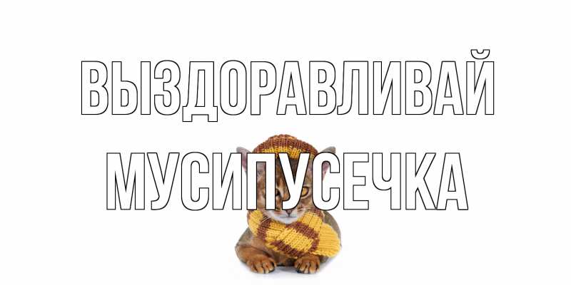 Картинка Выздоравливай, Мусипусечка