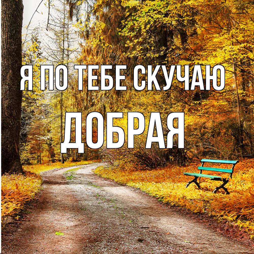 Открытка на каждый день с именем, Добрая Я по тебе скучаю зеленая лавочка и осенний лес Прикольная открытка с пожеланием онлайн скачать бесплатно 