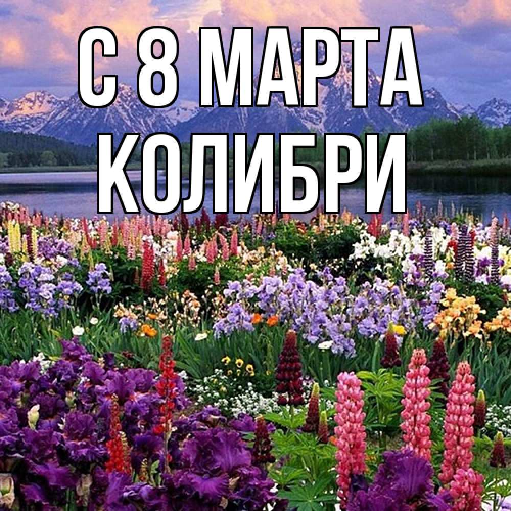 Открытка на каждый день с именем, Колибри C 8 МАРТА международный женский день Прикольная открытка с пожеланием онлайн скачать бесплатно 