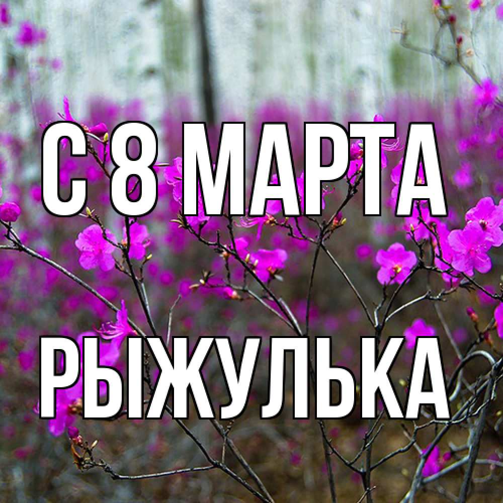 Открытка на каждый день с именем, рыжулька C 8 МАРТА дикие цветы Прикольная открытка с пожеланием онлайн скачать бесплатно 