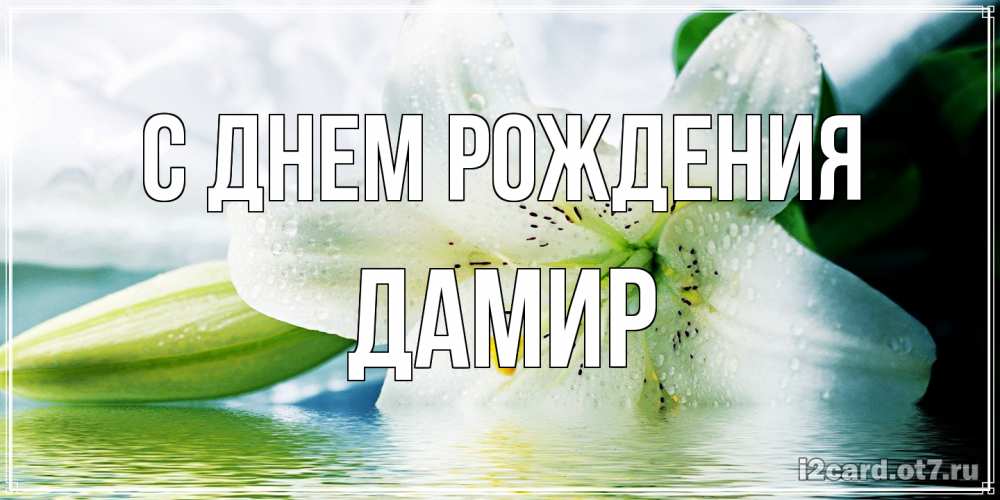 Открытка на каждый день с именем, Дамир С днем рождения лилия на открытке ко дню рождения Прикольная открытка с пожеланием онлайн скачать бесплатно 