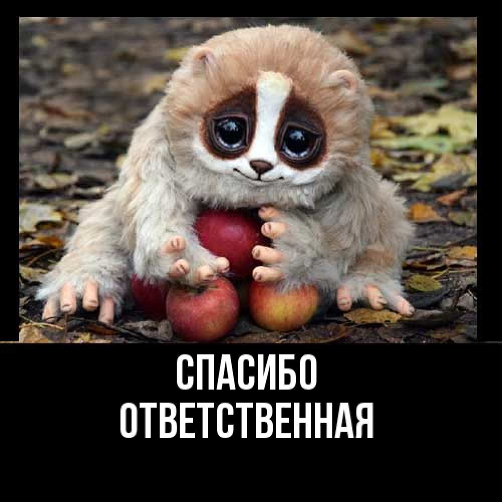 Открытка на каждый день с именем, ответственная Спасибо прикольное животное Прикольная открытка с пожеланием онлайн скачать бесплатно 