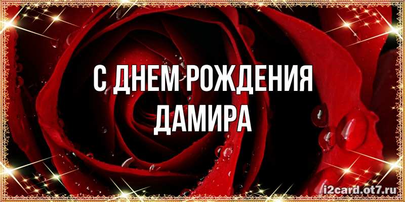Картинка С днем рождения, Дамира