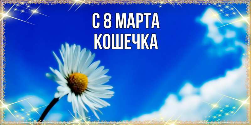 Картинка C 8 МАРТА, кошечка