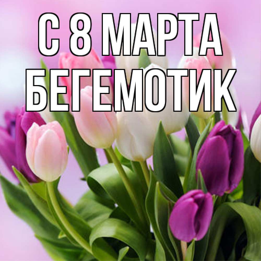 Открытка на каждый день с именем, Бегемотик C 8 МАРТА весна март Прикольная открытка с пожеланием онлайн скачать бесплатно 