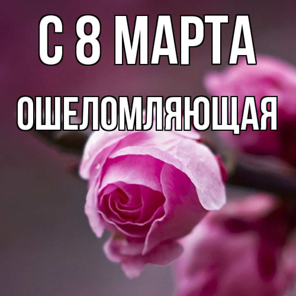 Открытка на каждый день с именем, Ошеломляющая C 8 МАРТА весна Прикольная открытка с пожеланием онлайн скачать бесплатно 