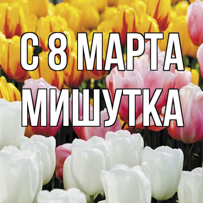 Картинка C 8 МАРТА, Мишутка