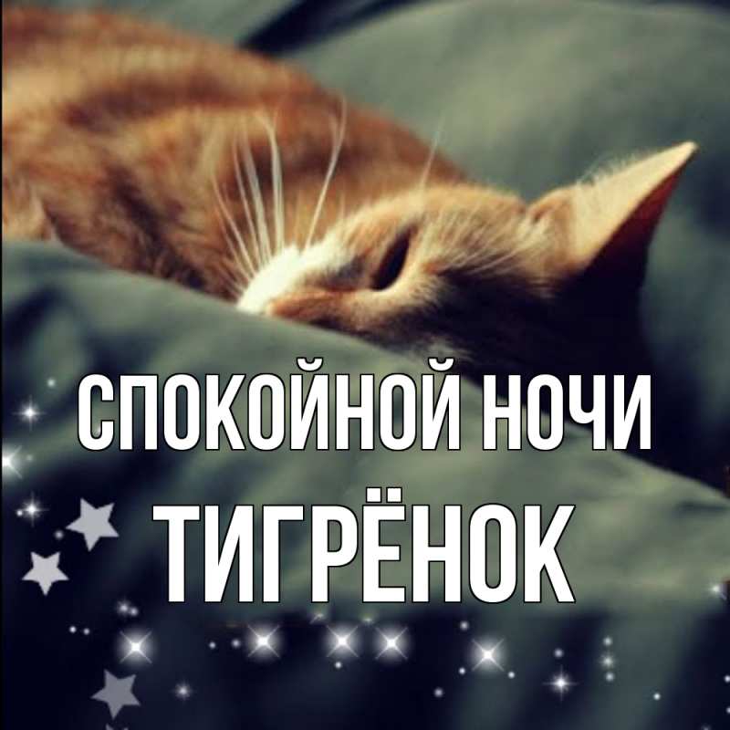 Картинка Спокойной ночи, Тигрёнок