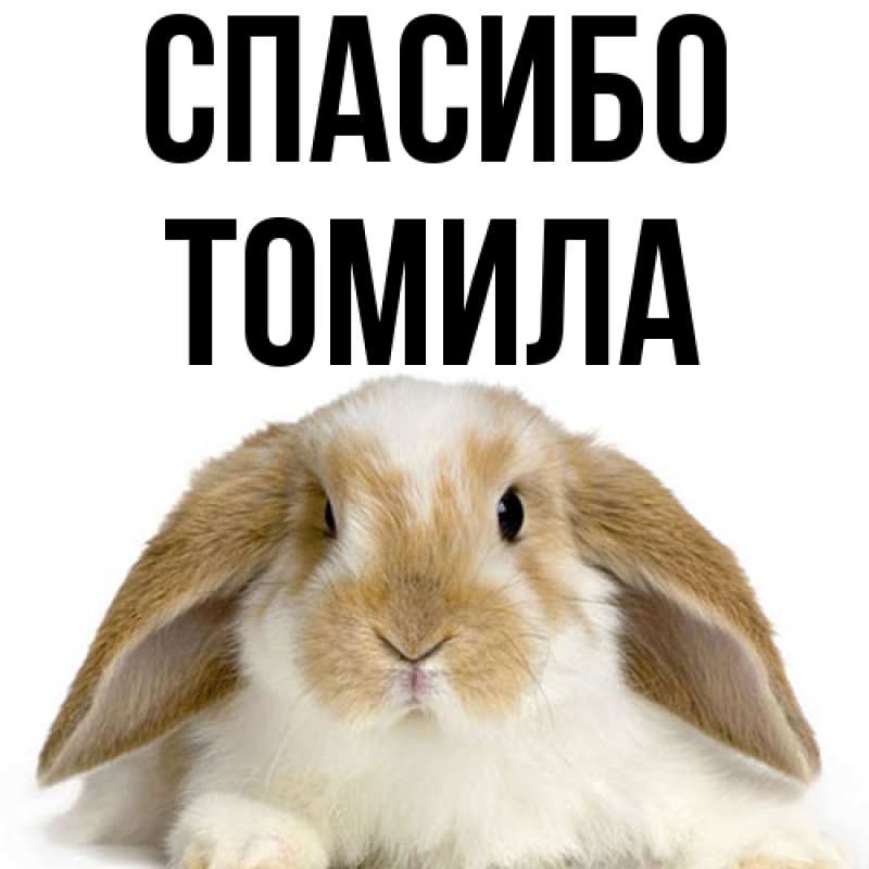 Картинка Спасибо, Томила
