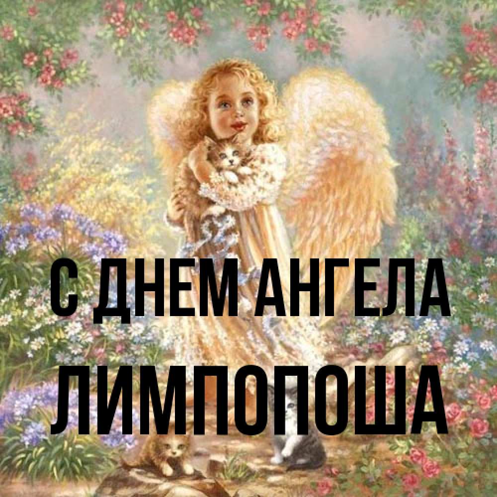 Открытка на каждый день с именем, лимпопоша С днем ангела держит котенка Прикольная открытка с пожеланием онлайн скачать бесплатно 