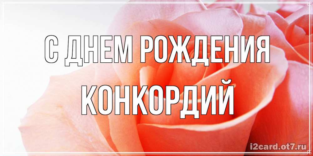 Открытка на каждый день с именем, Конкордий С днем рождения розы для поздравления с днем рождения Прикольная открытка с пожеланием онлайн скачать бесплатно 