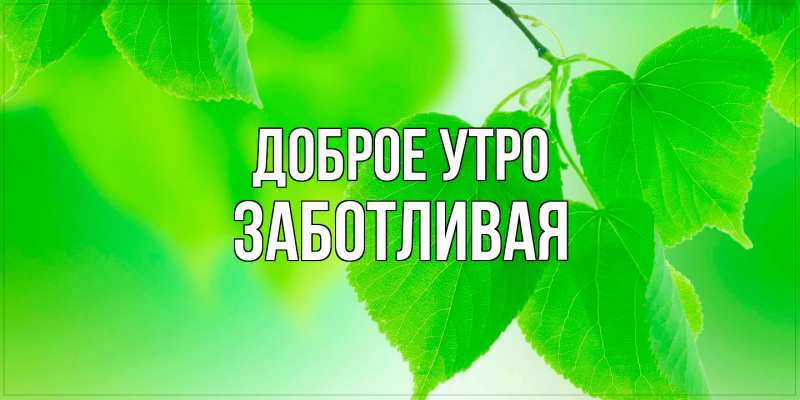 Картинка Доброе утро, Заботливая