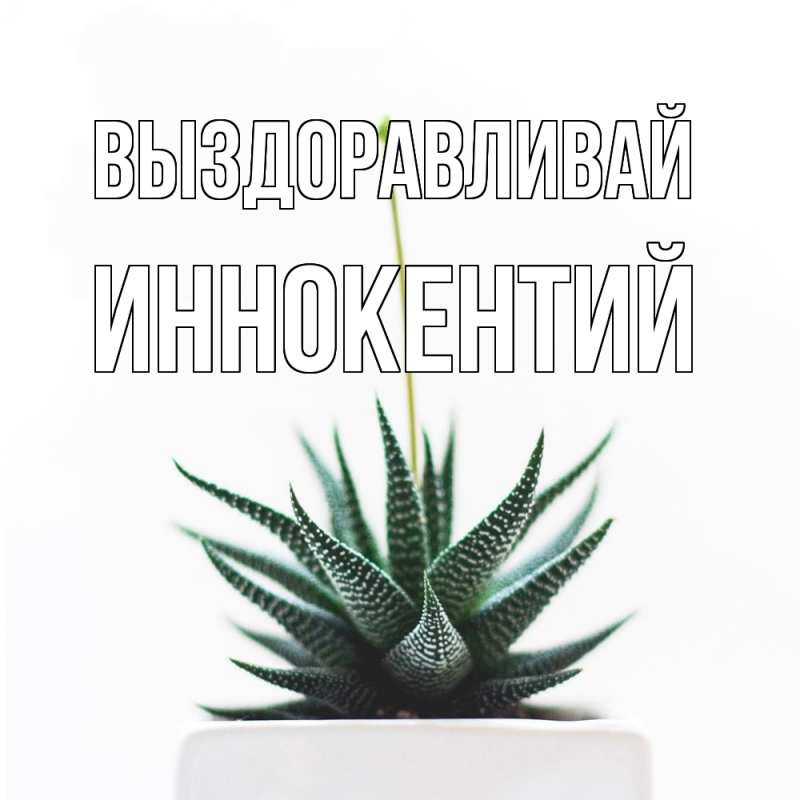 Картинка Выздоравливай, Иннокентий