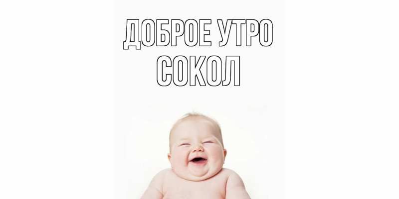 Картинка Доброе утро, Сокол