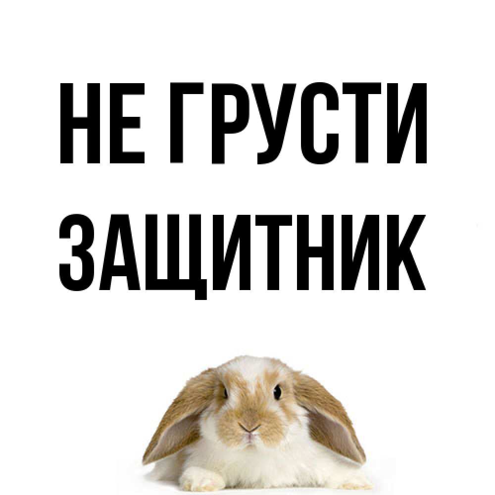 Открытка на каждый день с именем, Защитник Не грусти коричнево белый заяц с большими ушками Прикольная открытка с пожеланием онлайн скачать бесплатно 
