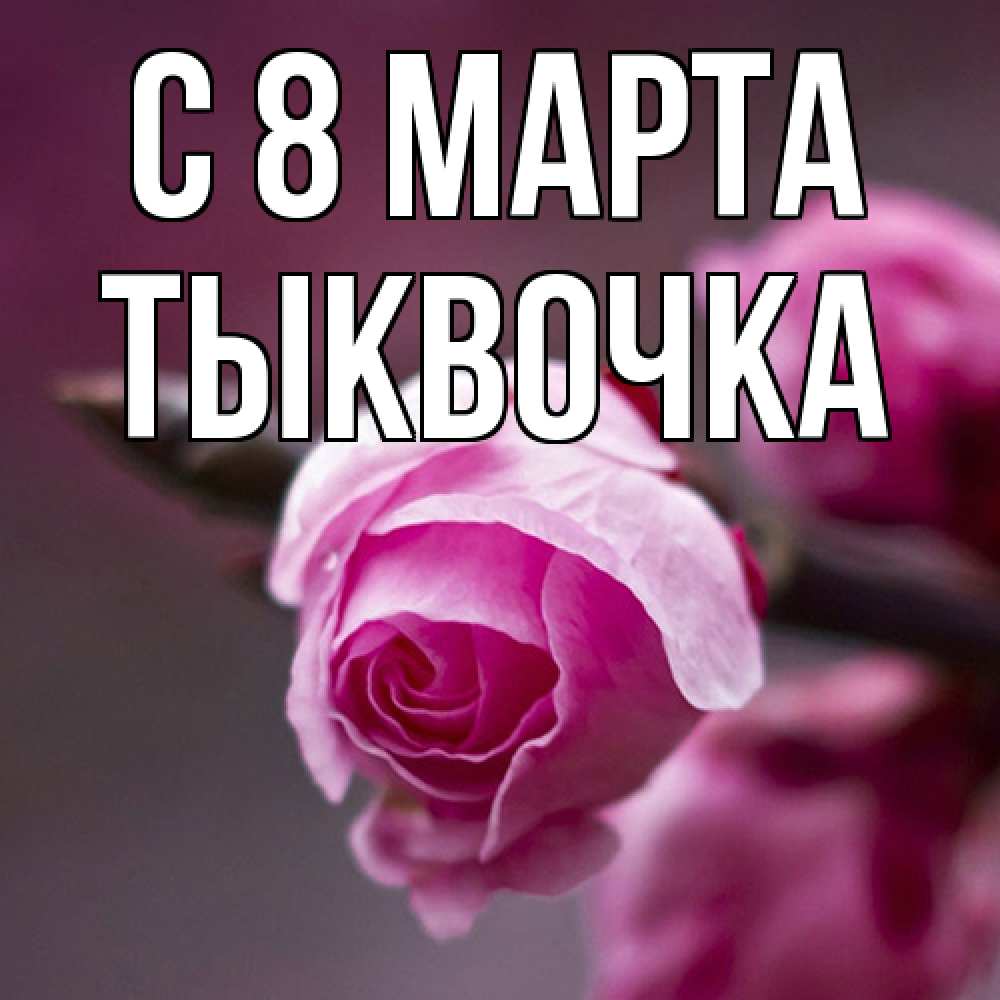 Открытка на каждый день с именем, тыквочка C 8 МАРТА весна Прикольная открытка с пожеланием онлайн скачать бесплатно 