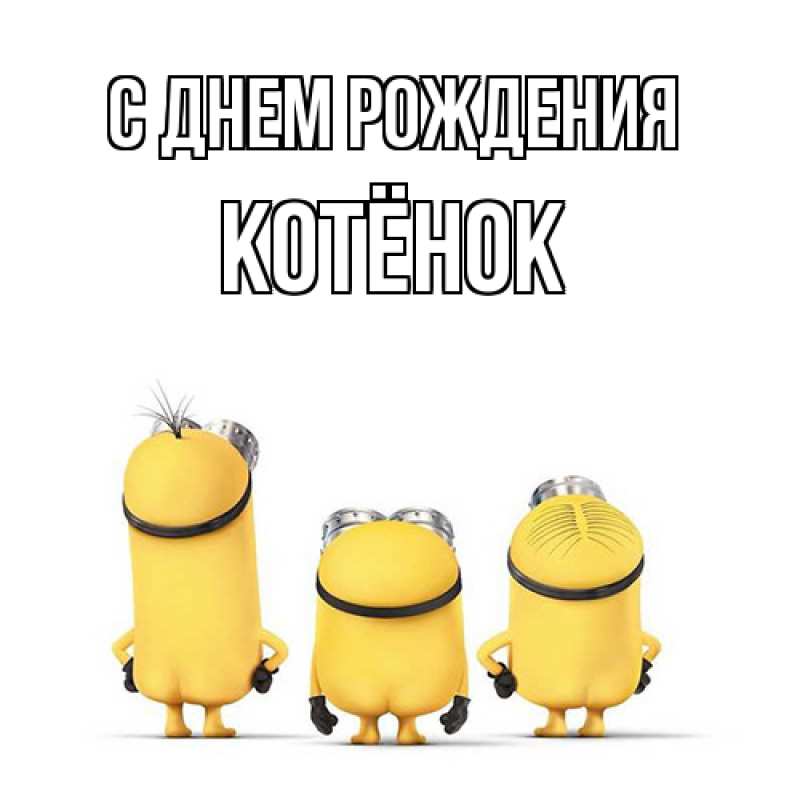 Картинка С днем рождения, Котёнок